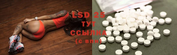 ПСИЛОЦИБИНОВЫЕ ГРИБЫ Осташков