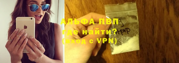 ПСИЛОЦИБИНОВЫЕ ГРИБЫ Осташков