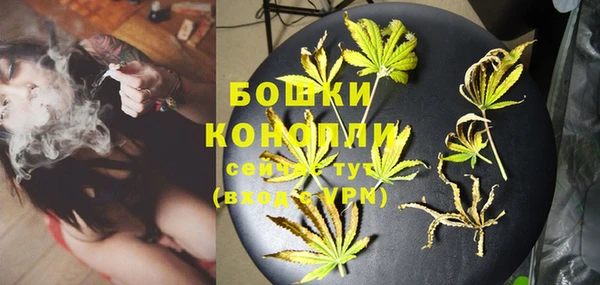 ПСИЛОЦИБИНОВЫЕ ГРИБЫ Осташков