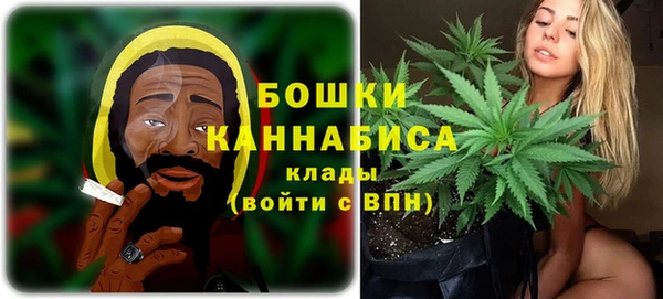 эйфоретик Пересвет