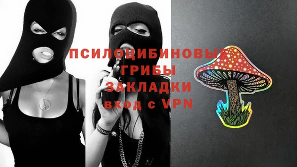 гидра Остров
