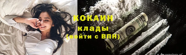 ПСИЛОЦИБИНОВЫЕ ГРИБЫ Осташков